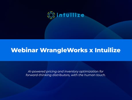 Automated Product Data Work with WrangleWorks and Intuilize